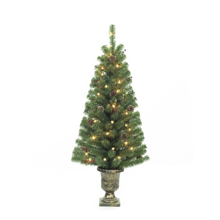 Celebrations Home 4 ft. Pencil Incandescent 35 lights Northern Pine Entrance Tree J40-135-35LC